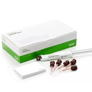 Guttaflow 2 Standard Set Roeko