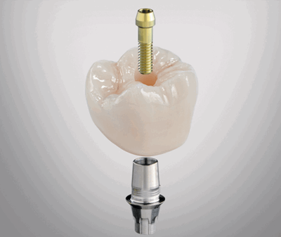 254974 prod254974.PNG