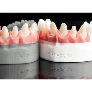 SHERAprint-gingiva 2.0, 500 g