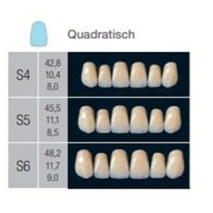 Veracia Anterior OK  protesetenner 6 stk