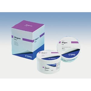 Silagum Putty fast 2x262 ml
