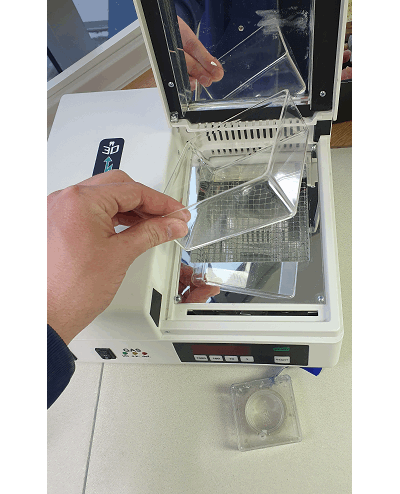 252535 prod252535.PNG