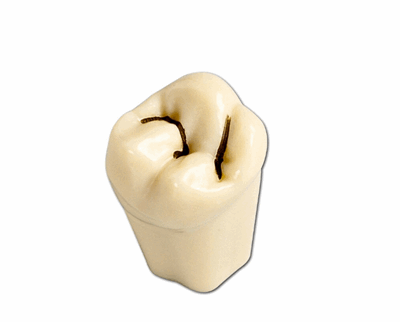 252405 prod252405_1.PNG