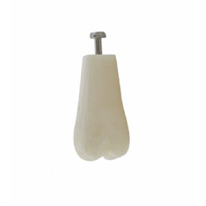 Frasaco Modelltann ANA-4, Tann 26 10 stk