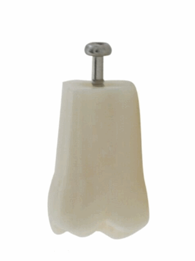 96913 prod96913_1.PNG