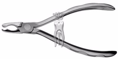 250434 prod250434_1.jpeg