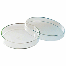 Petriskål uten rom klar glass Ø 100 mm høyde 20 mm