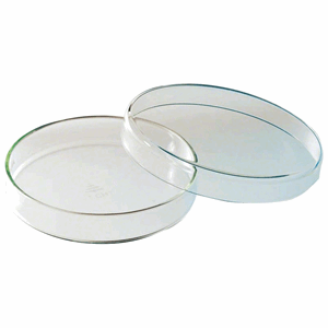 Petriskål uten rom klar glass Ø 100 mm