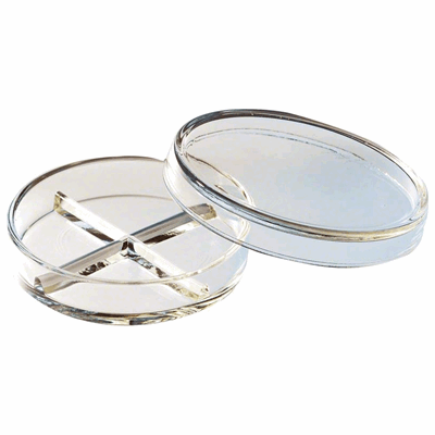 60981 prod60981_1.png