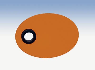 34424 prod34424_1.jpg