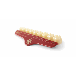 Directa krone tanslusent 3 stk Molar L7L