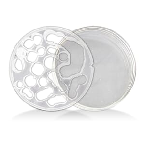 PMMA BioStar 98,5 x 14 mm transparent 1 stk