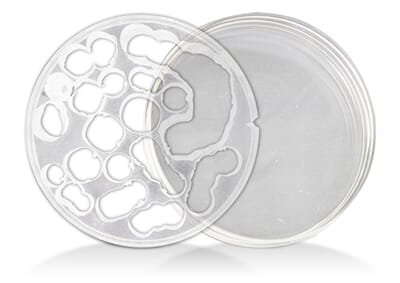 215377 prod217233.jpg