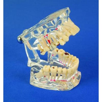 62363 prod62363_1.jpg