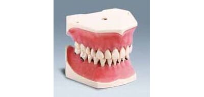 74938 prod74938_1.jpg