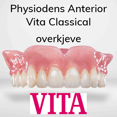 V900046 Physsiodens Ant CL OK.png