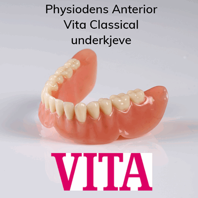 V900047 Physsiodens Ant CL UK_1.png