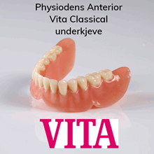 Physiodens Anterior protesetenner 6 stk Vita Classical UK