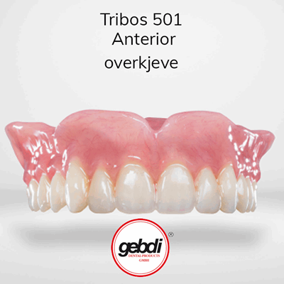 V900066 Tribos Anterior OK _1.png