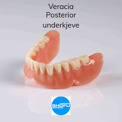 V900073 Veracia Posterior UK V900073.png