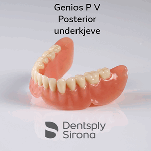 Genios P V Posteriors protesetenner 8 stk UK