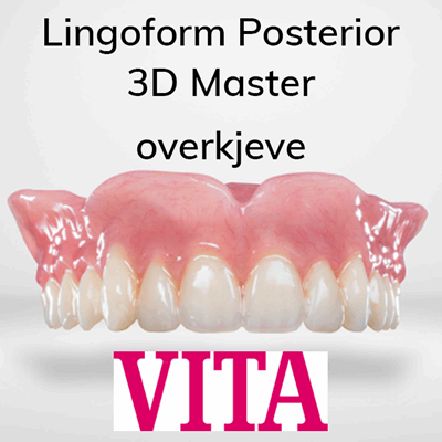 V900038 Lingoform Pos 3Dm OK_1.png