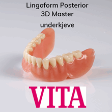 Lingoform Posterior protesetenner 8 stk 3D Master UK