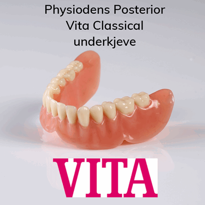 V900049 Physsiodens Pos CL UK_1.png