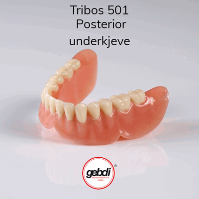 V900069 Tribos 501 Posterior UK.png