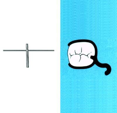 46712 prod46710_1.jpg