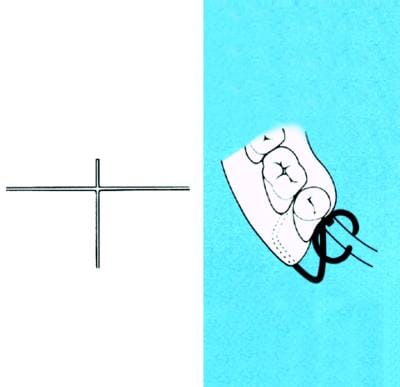 54308 prod46671_1.jpg